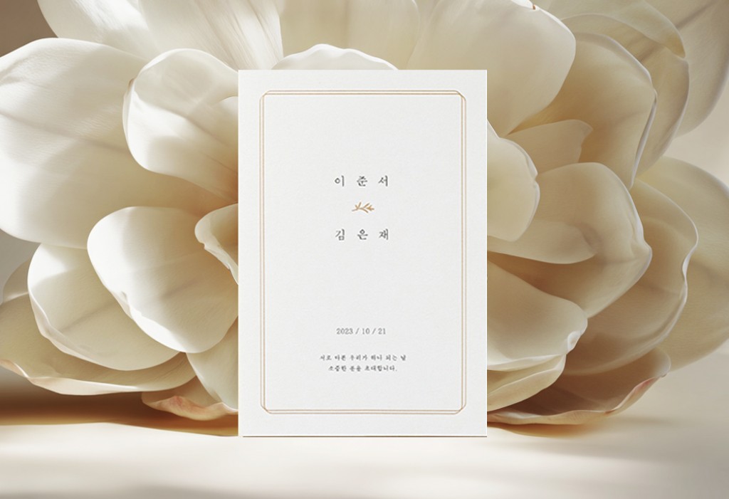 모더니크 기본 이미지