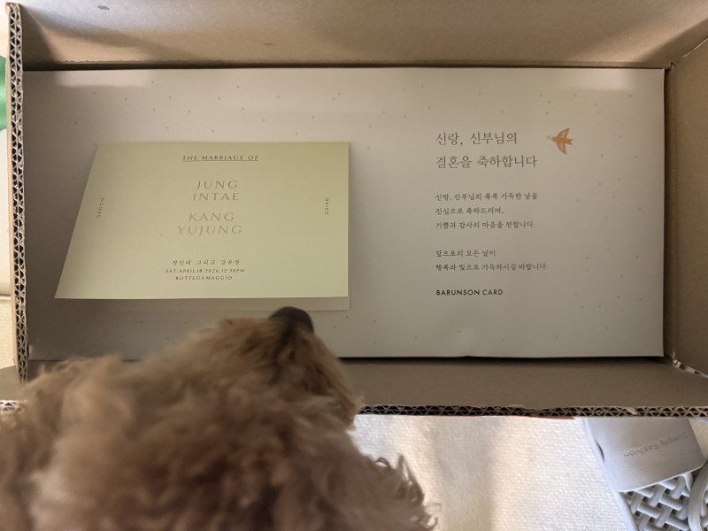 강유정님의 리뷰 이미지